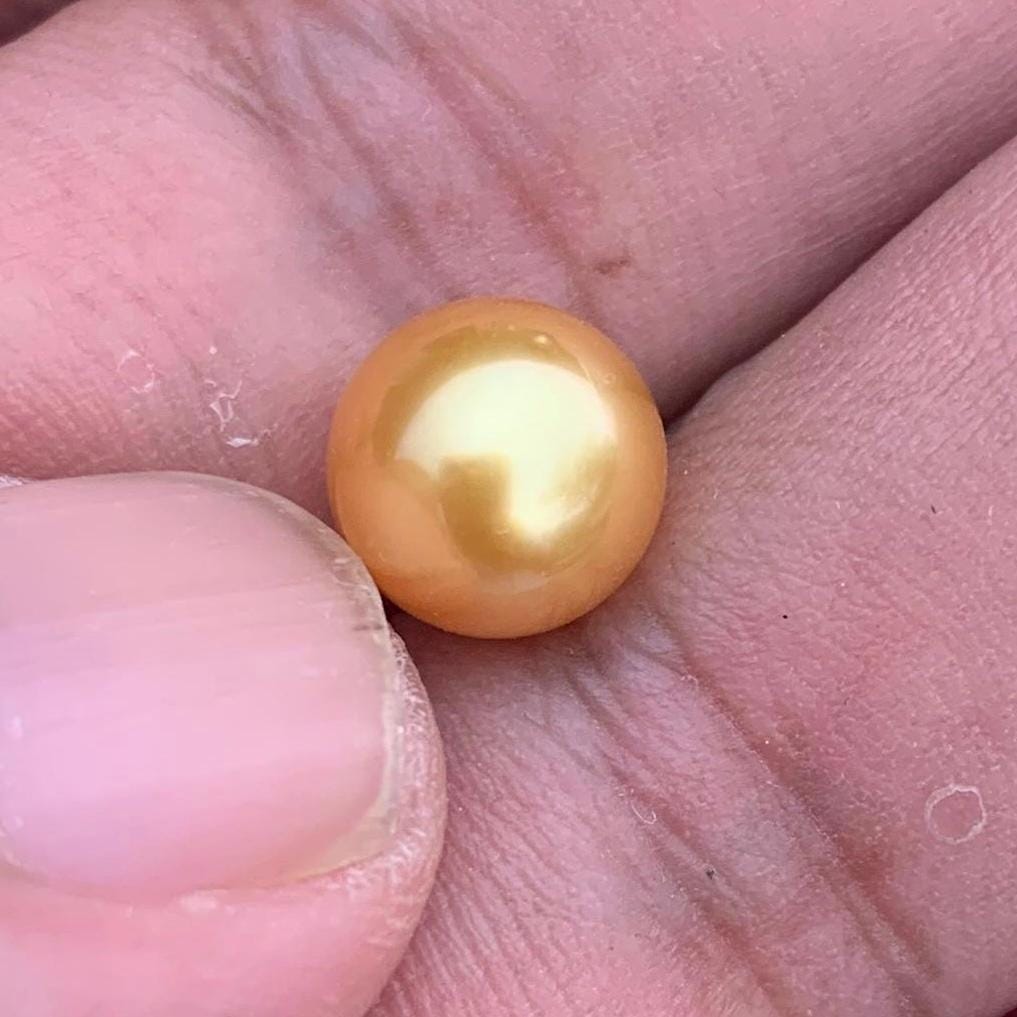 Loose Golden South Sea Pearl Beads Sea Pearl Beads High Grade Loose Saltwater Pearl Bead Small-4