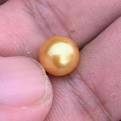 Loose Golden South Sea Pearl Beads Sea Pearl Beads High Grade Loose Saltwater Pearl Bead Small-4