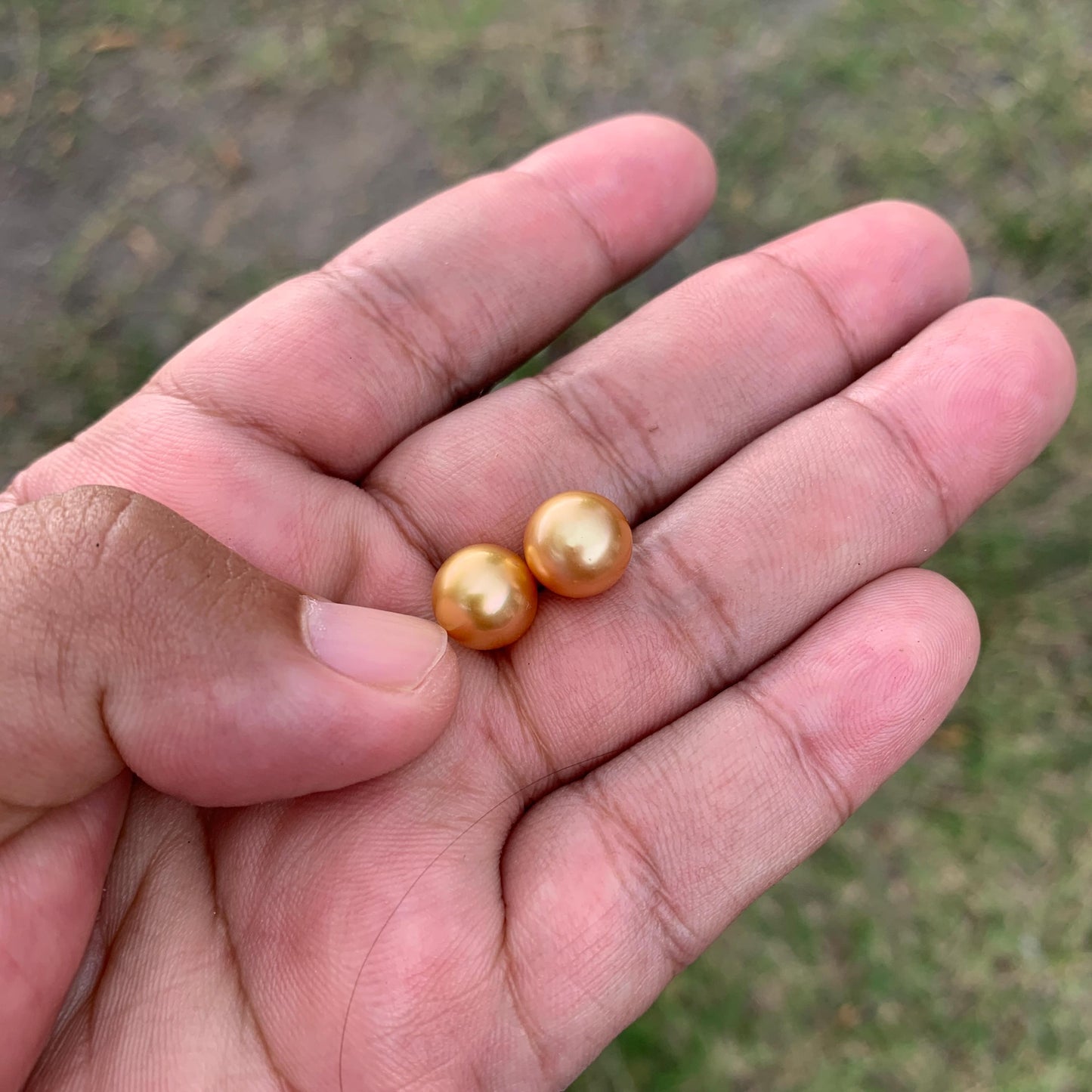 9.6mm Golden South Sea Pearl Pair High Grade Loose Gemstones PP3-8