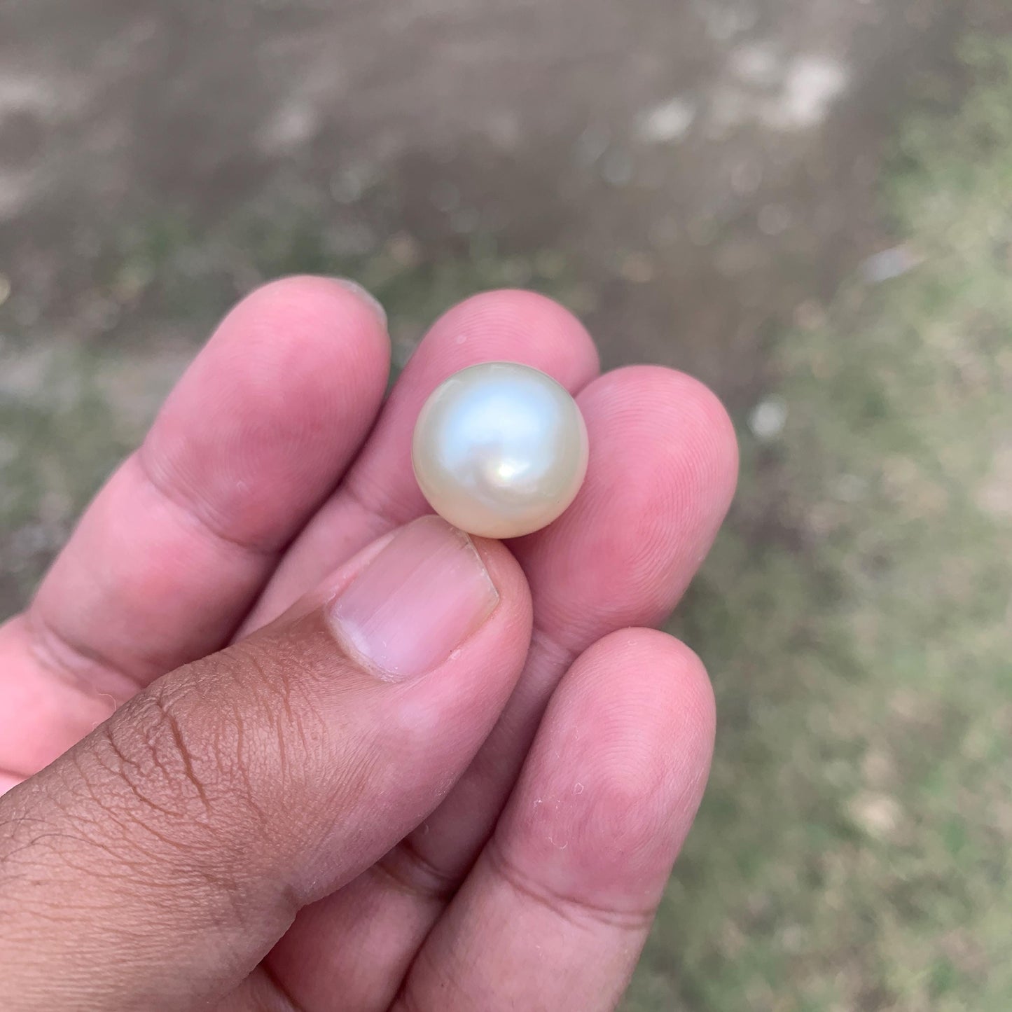 14.5mm Loose White South Sea Pearl Beads Sea Pearl Beads High Grade Loose Saltwater Pearl Bead