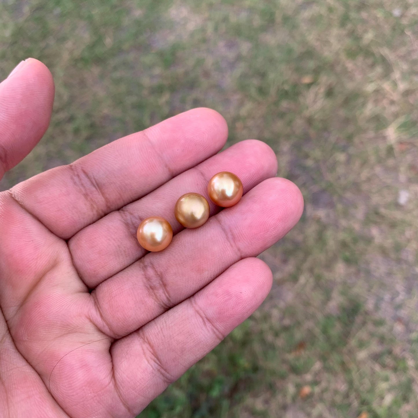 3 Pcs 10mm Golden South Sea Pearls High Grade Loose Gem  PP3-7