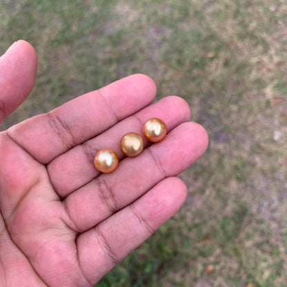 3 Pcs 10mm Golden South Sea Pearls High Grade Loose Gem  PP3-7