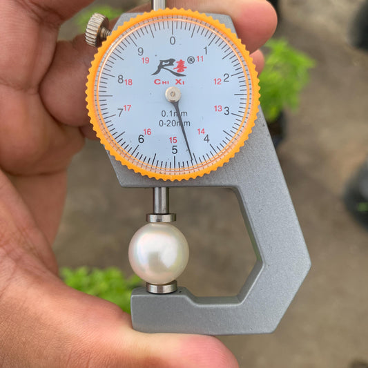 14.6mm Loose White South Sea Pearl Indonesia BoZorX FR-4