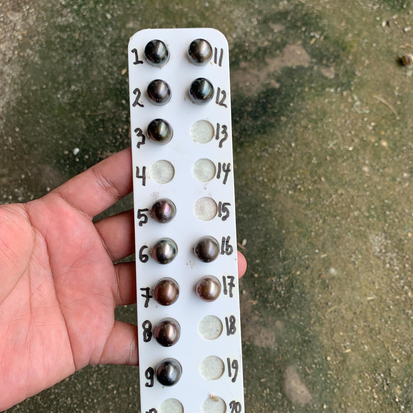 12mm Loose Seawater Tahitian Pearl Tahitian Edition Pearl Beads BoZorX BT-4