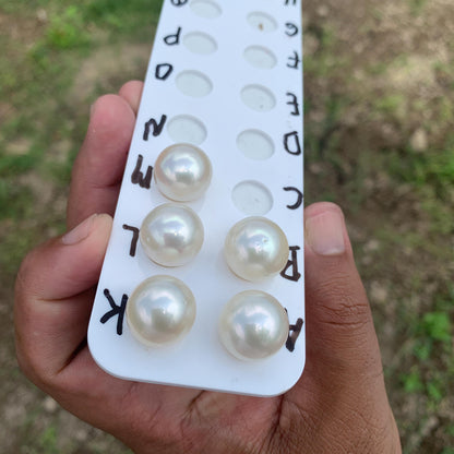 15.4-16.2mm Real south sea pearl saltwater pearl seawater pearl Pendant BoZorX HB-S