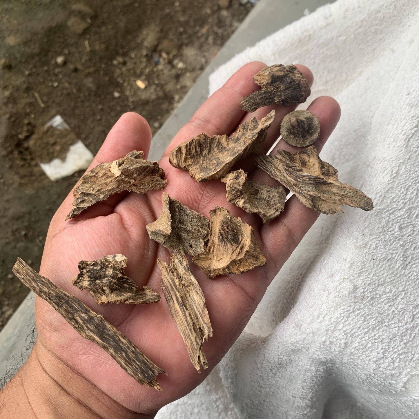 Agarwood Oud Aloes wood Englewood 50 Grams C4