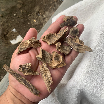 Agarwood Oud Aloes wood Englewood 50 Grams C4