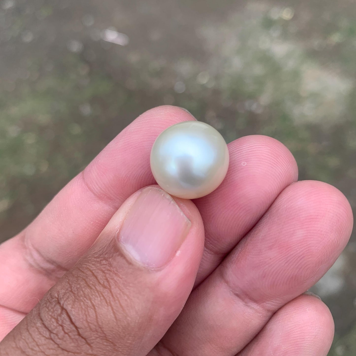 14.5mm Loose White South Sea Pearl Beads Sea Pearl Beads High Grade Loose Saltwater Pearl Bead