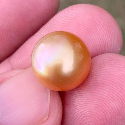 12mm Golden South Sea Pearl High Grade Loose Gold Seawater Pearl PP3-5