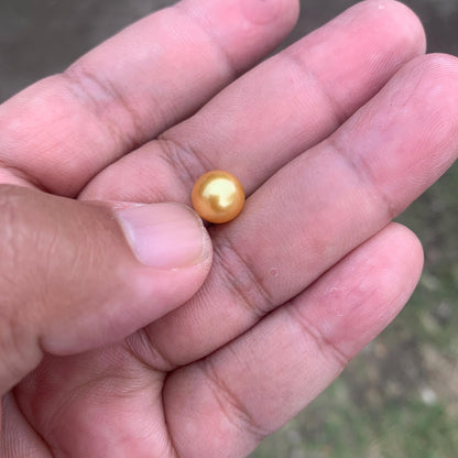 Loose Golden South Sea Pearl Beads Sea Pearl Beads High Grade Loose Saltwater Pearl Bead Small-4