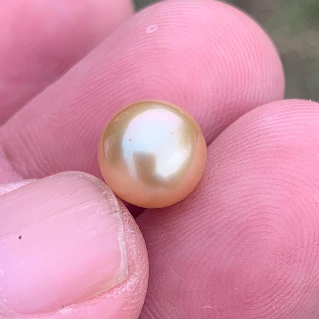 Loose Golden South Sea Pearl Beads Sea Pearl Beads High Grade Loose Saltwater Pearl Bead Small-3