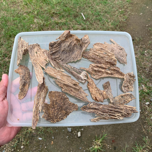 50 Grams Agarwood Oud 沉香 奇楠 沈香 العود C7