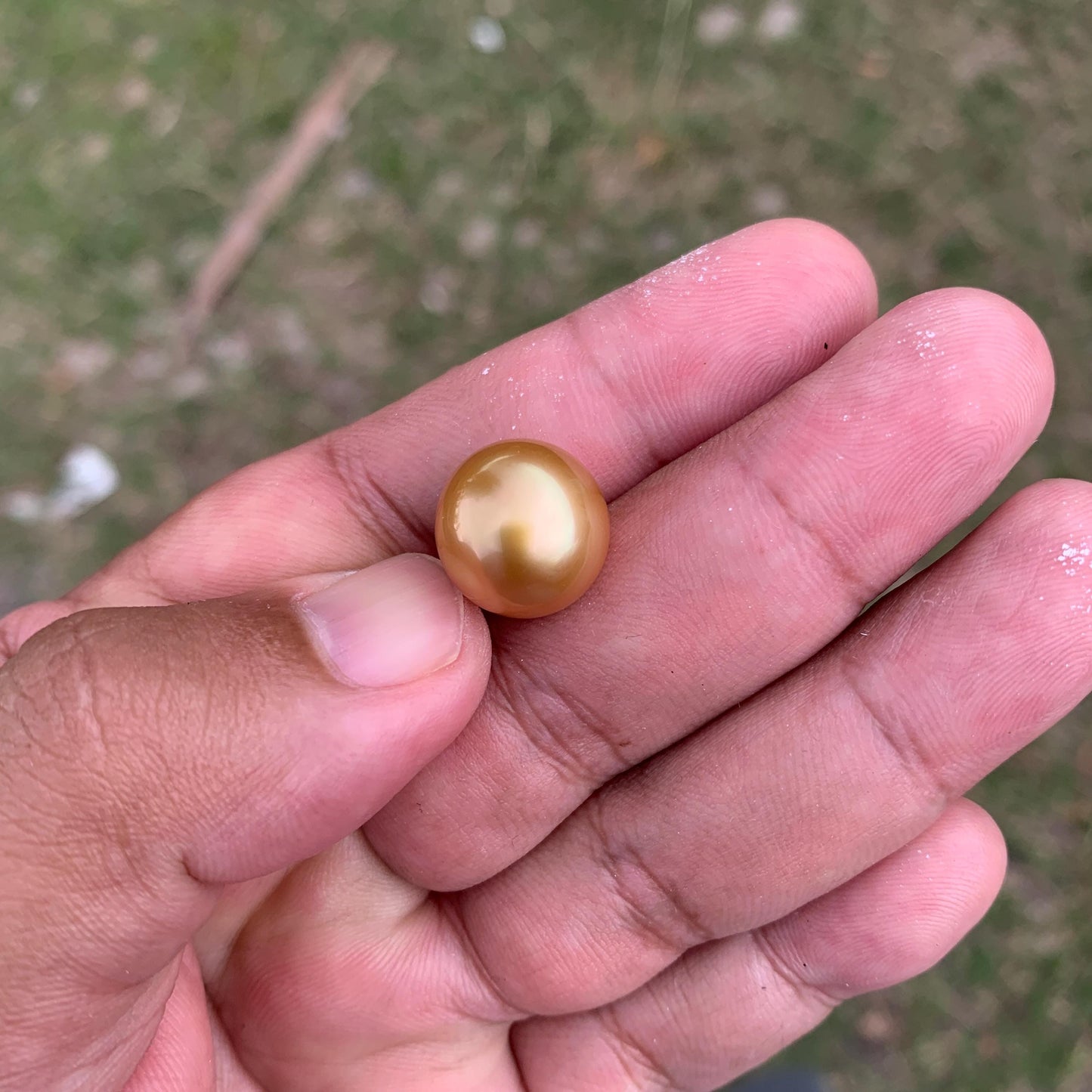 14mm Golden South Sea Button Pearl High Grade Loose Saltwater Pearl PP4-1