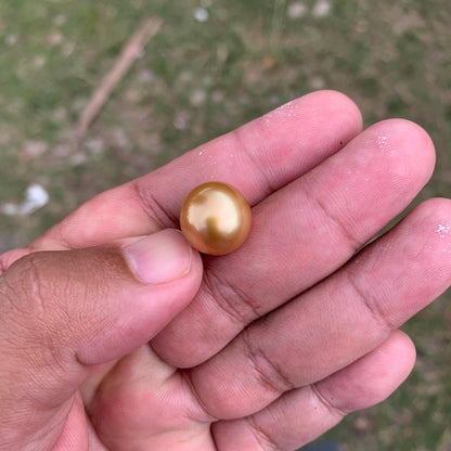 14mm Golden South Sea Button Pearl High Grade Loose Saltwater Pearl PP4-1