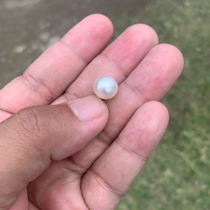 Loose White South Sea Pearl Beads Sea Pearl Beads High Grade Loose Saltwater Pearl Bead