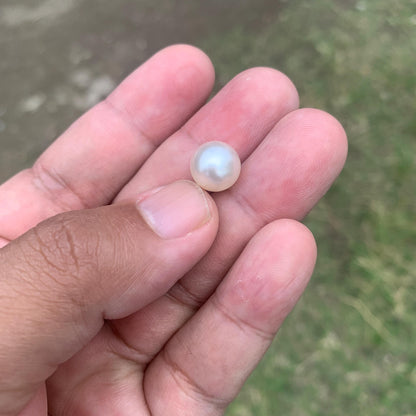 Loose White South Sea Pearl Beads Sea Pearl Beads High Grade Loose Saltwater Pearl Bead