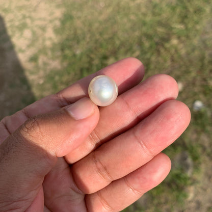 White South Sea Pearl Loose Indonesia Pearl (15.2x14.7mm) BoZorX FR-3