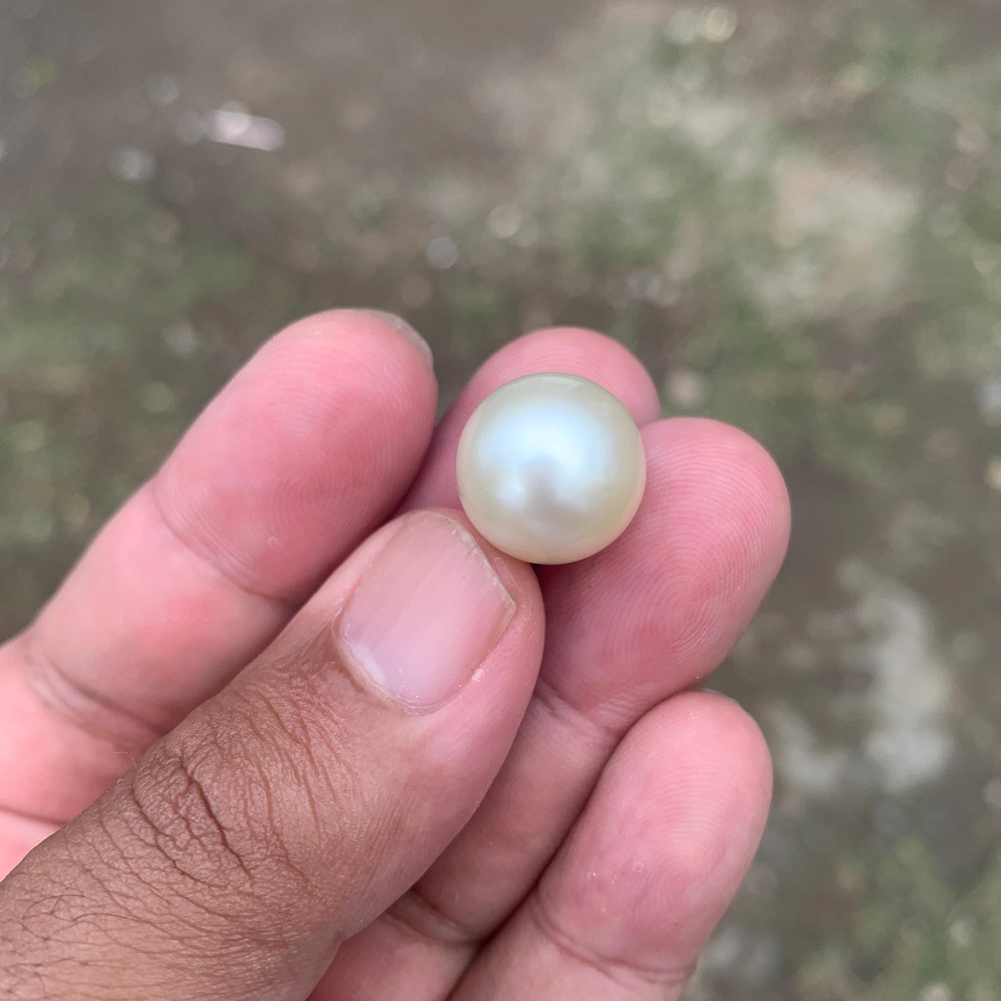 14.5mm Loose White South Sea Pearl Beads Sea Pearl Beads High Grade Loose Saltwater Pearl Bead