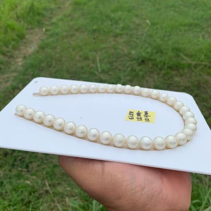Indonesia White South Sea Pearl Necklace Saltwater Pearl Necklace Seawater Necklace Pearl Necklace 12-12.4mm  GR-13
