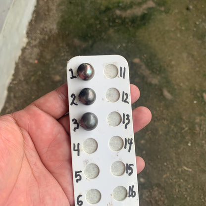 14mm Loose Seawater Tahitian Black Pearl Beads BoZorX BT-6