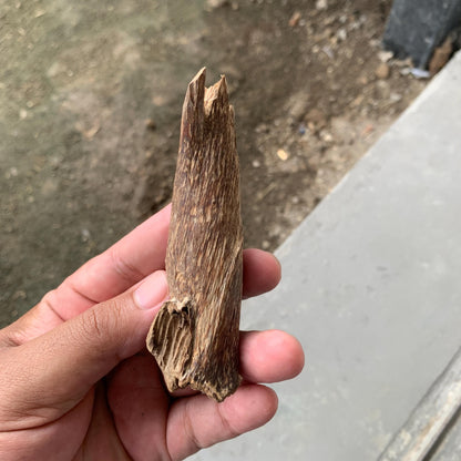 Agarwood Chips Chénxiāng Oud Incense Oudh Xiāng Kyara Kynam Aloeswood Kinam qí nán Jinkō Englewood 50 Grams C5 Solid Wood