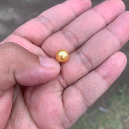 Loose Golden South Sea Pearl Beads Sea Pearl Beads High Grade Loose Saltwater Pearl Bead Small-4