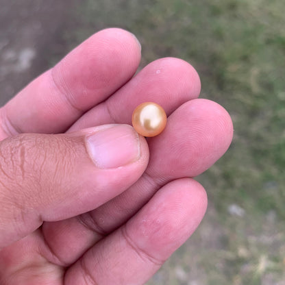 Loose Golden South Sea Pearl Beads Sea Pearl Beads High Grade Loose Saltwater Pearl Bead Small-2