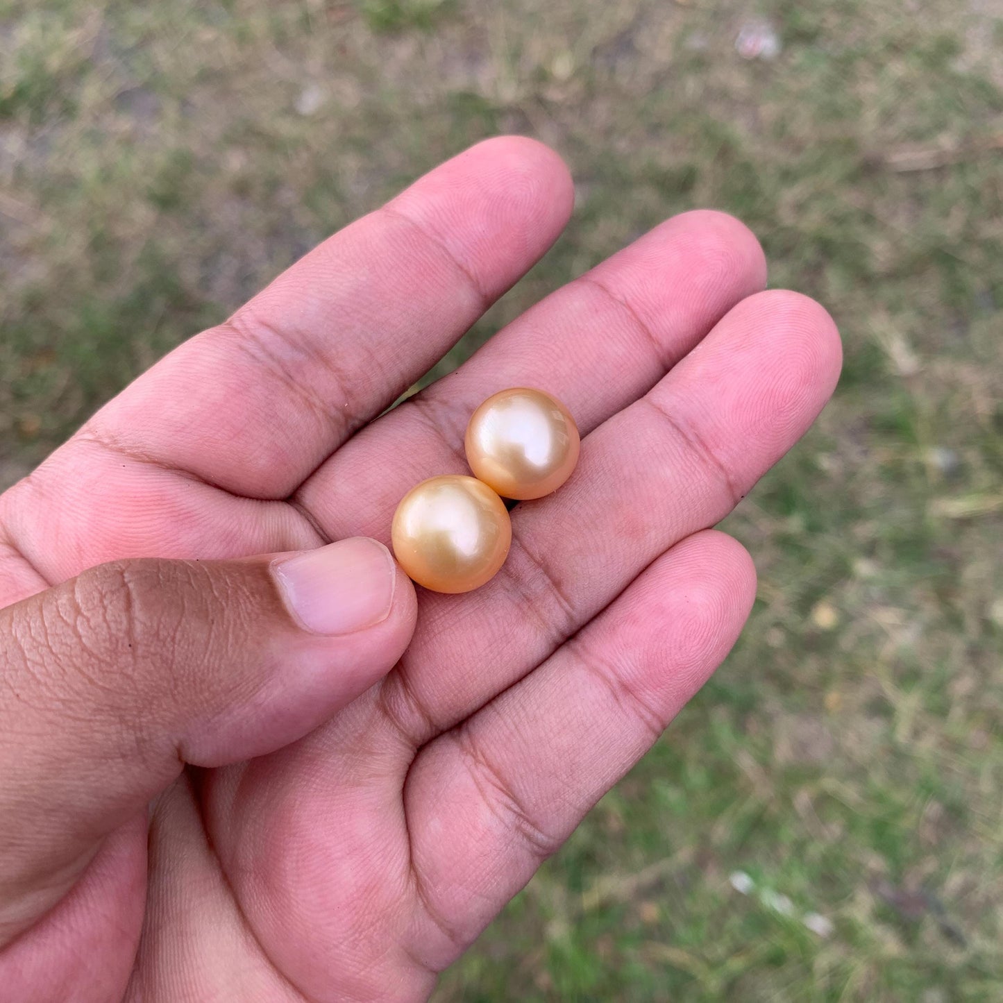 2 Pcs 13mm Golden South Sea Pearl Pair High Grade Loose Gemstones PP3-3