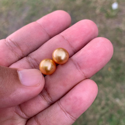 9.6mm Golden South Sea Pearl Pair High Grade Loose Gemstones PP3-8