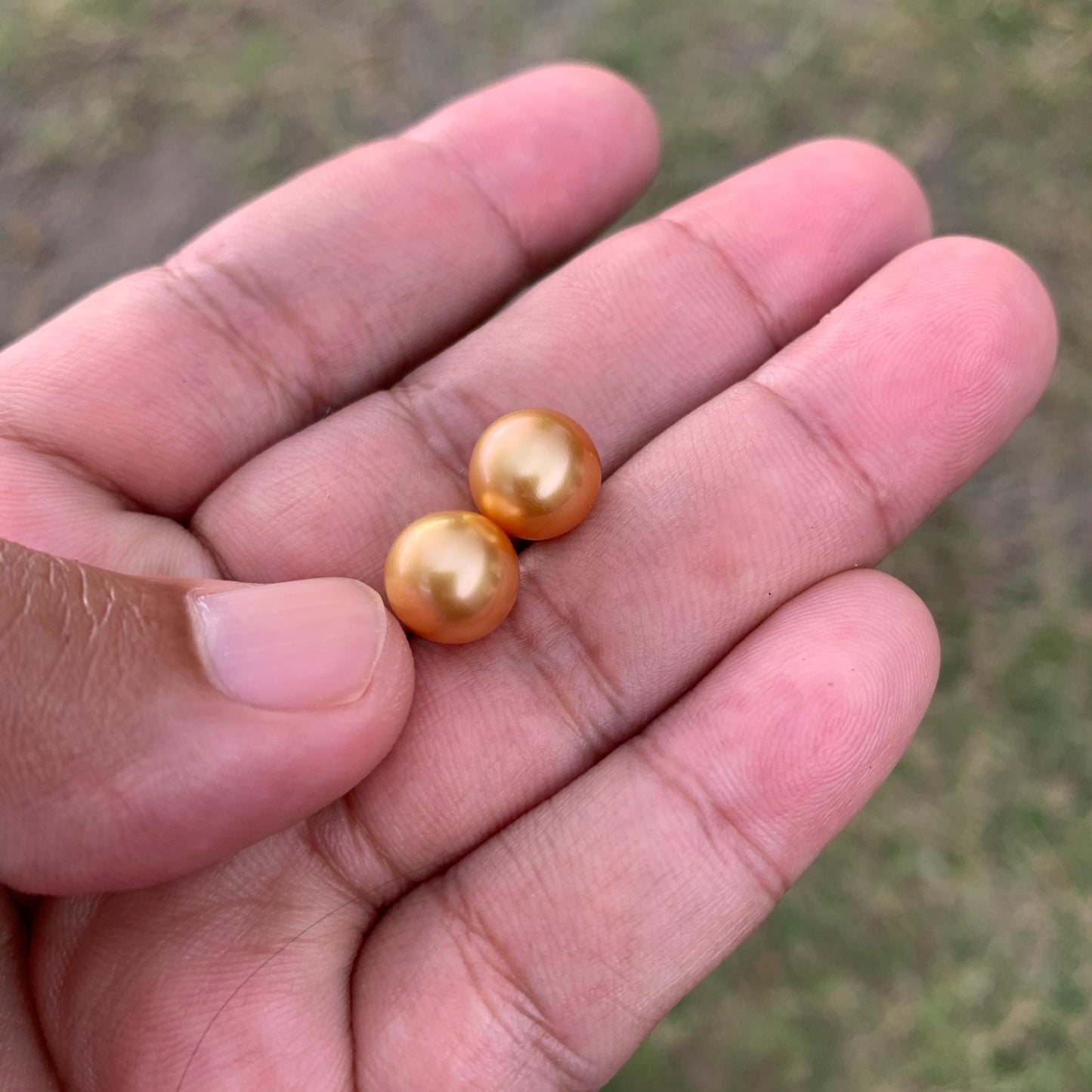 9.6mm Golden South Sea Pearl Pair High Grade Loose Gemstones PP3-8