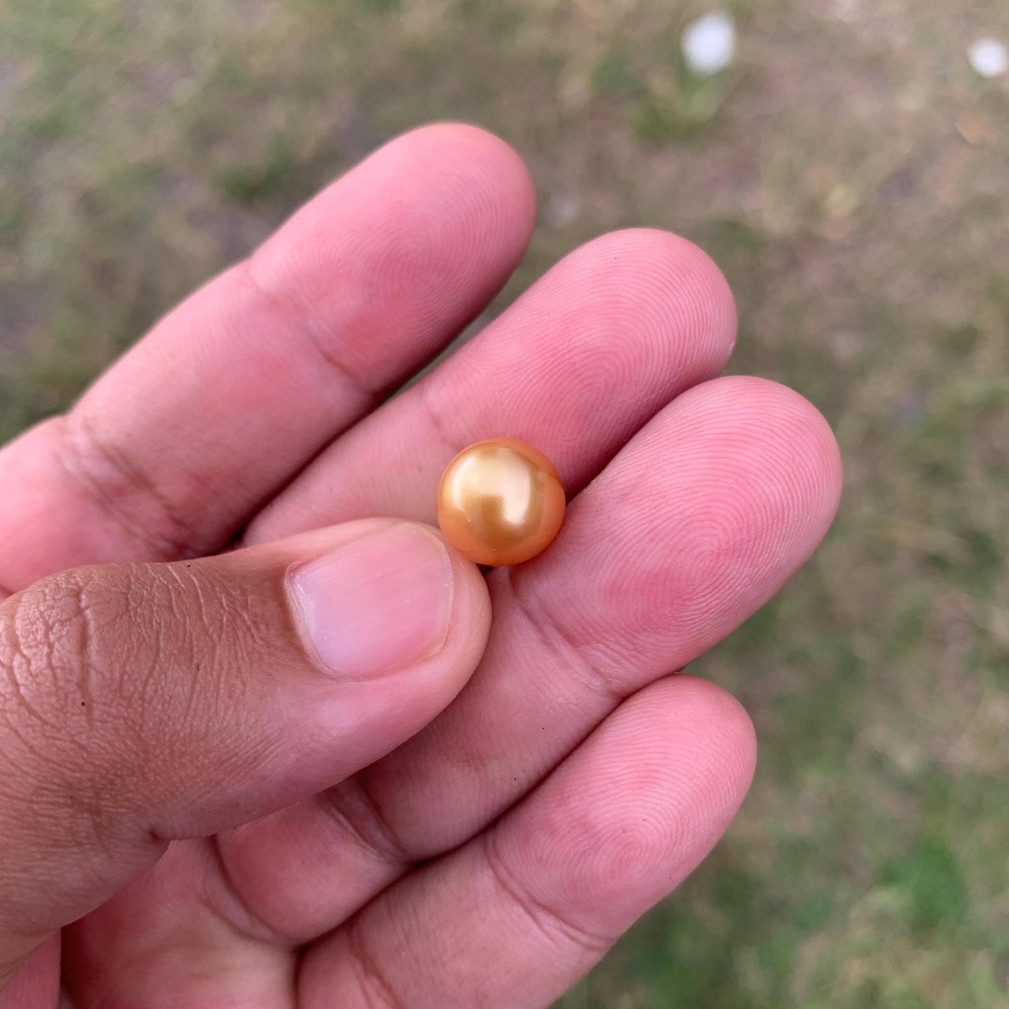 10.6mm Golden South Sea Pearl High Grade Loose Seawater Pearl PP3-6