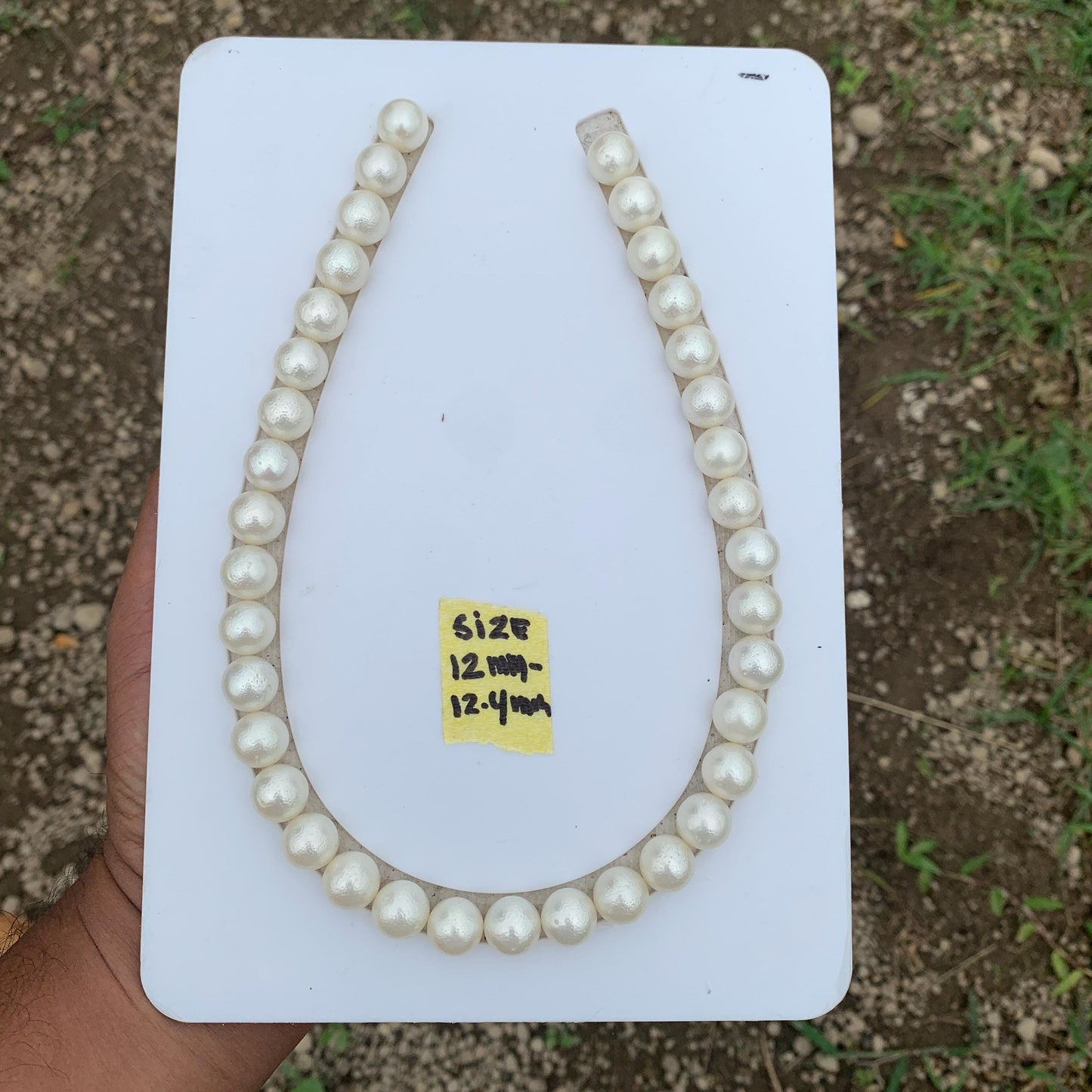 Indonesia White South Sea Pearl Necklace Saltwater Pearl Necklace Seawater Necklace Pearl Necklace 12-12.4mm  GR-13