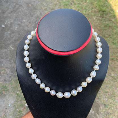 Genuine South Sea Pearl Necklace (7.5-10.8mm, 41cm)