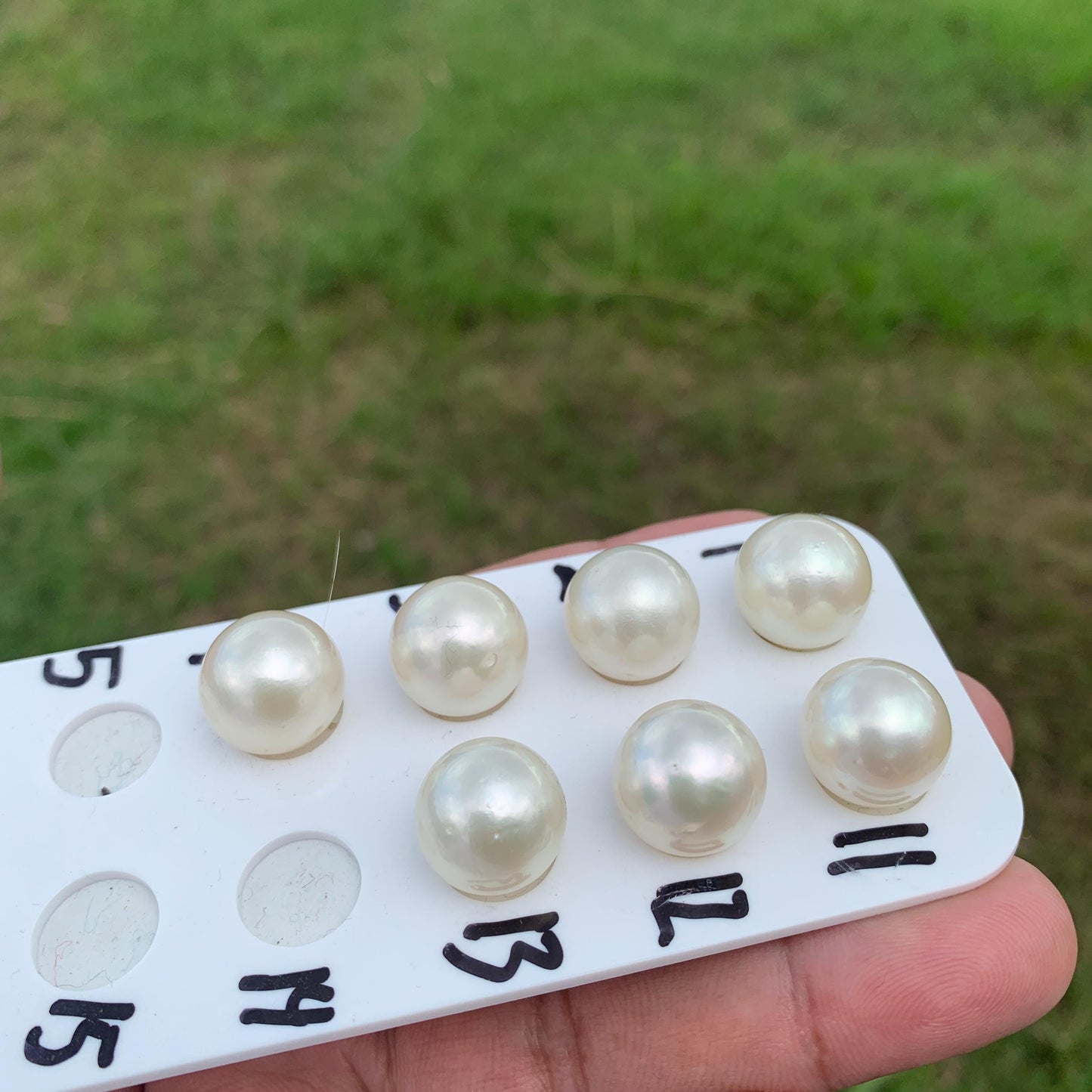 Large South Sea Pearl Beads: Genuine Indonesian Loose Pearls (14.4-14.9mm) HB-R3