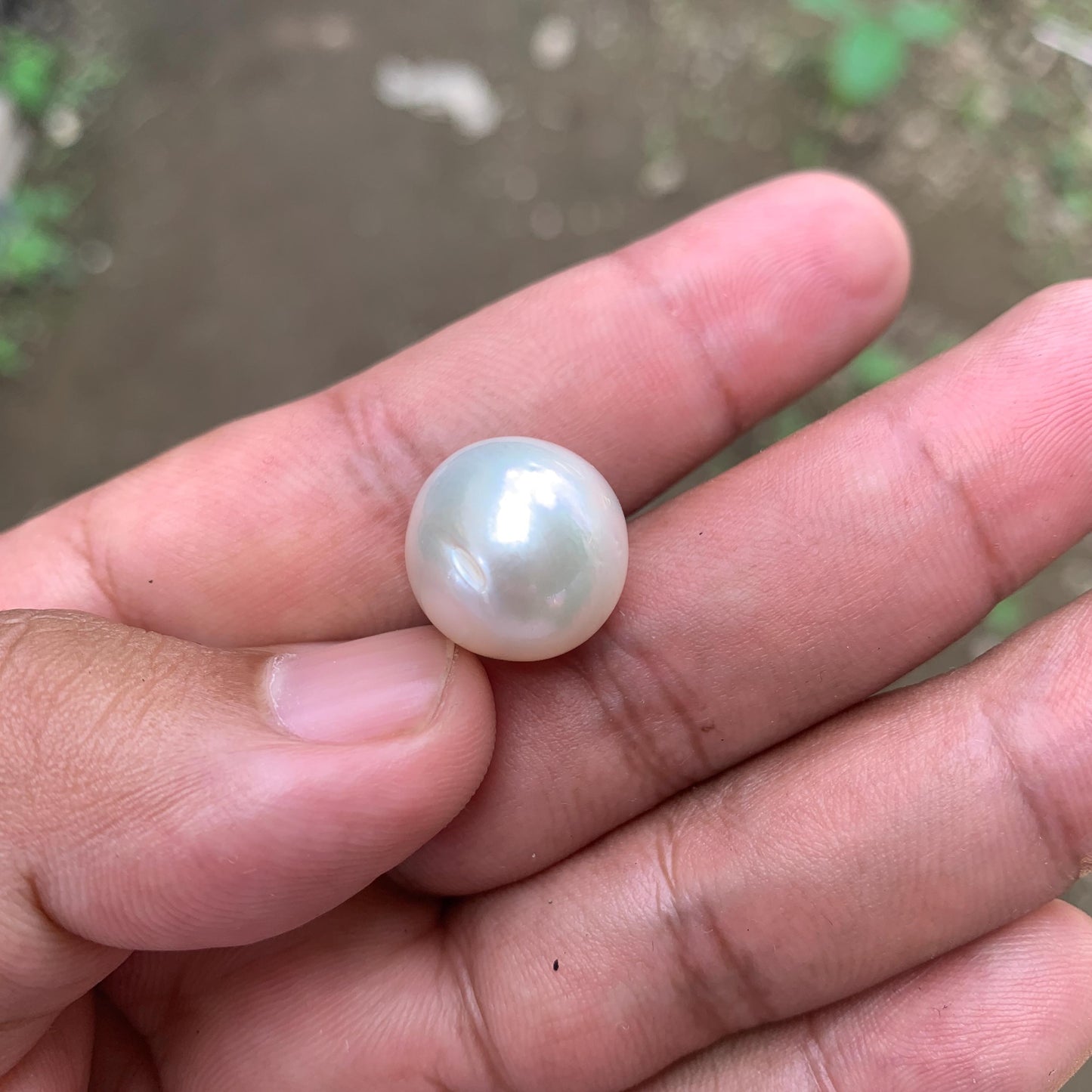 White South Sea Pearl: Loose Indonesia Pearl (15.7x15.4mm) BoZorX FR-1