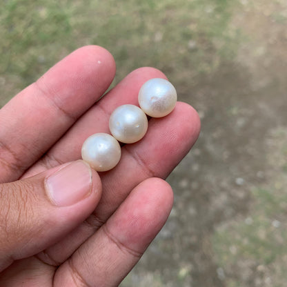 Indonesia Loose Seawater Pearl Special Edition Pearl Beads BoZorX Auct-F