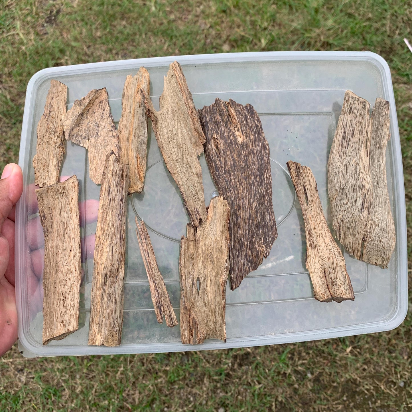 50 Grams Indonesia Agarwood Chips