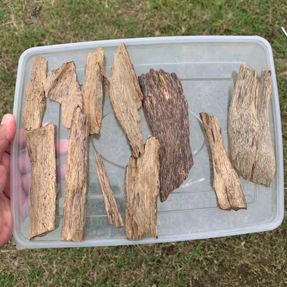 50 Grams Indonesia Agarwood Chips