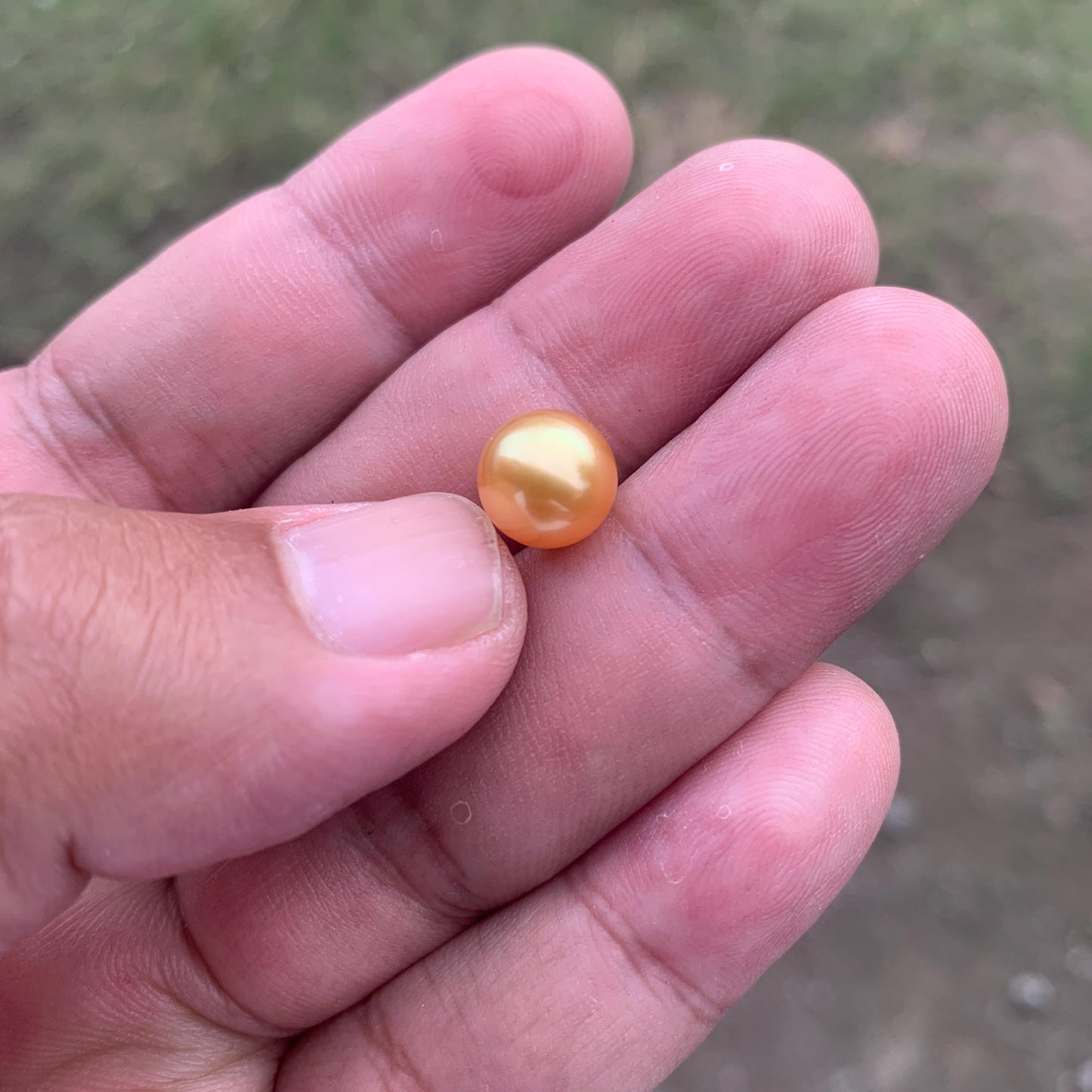 Loose High Grade Golden South Sea Pearl High Grade Loose Seawater Saltwater Pearl Small-1