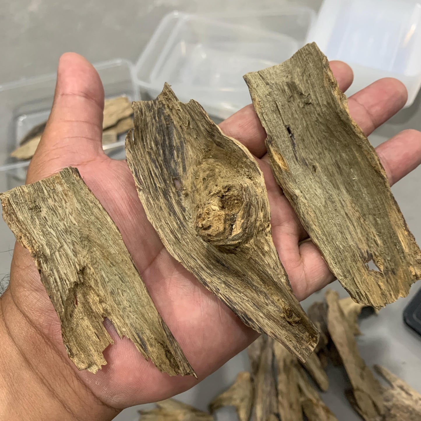 100 Grams Agarwood Oud Chips Aloes Wood