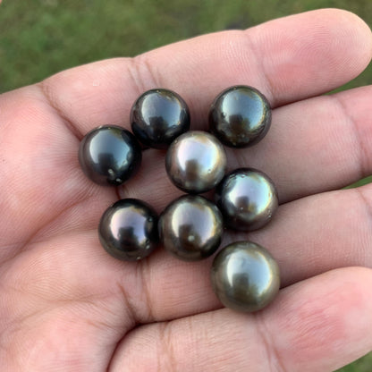 8 Pcs 11mm Loose Seawater Black Pearl Tahitian Edition Pearl Beads BoZorX BT-3