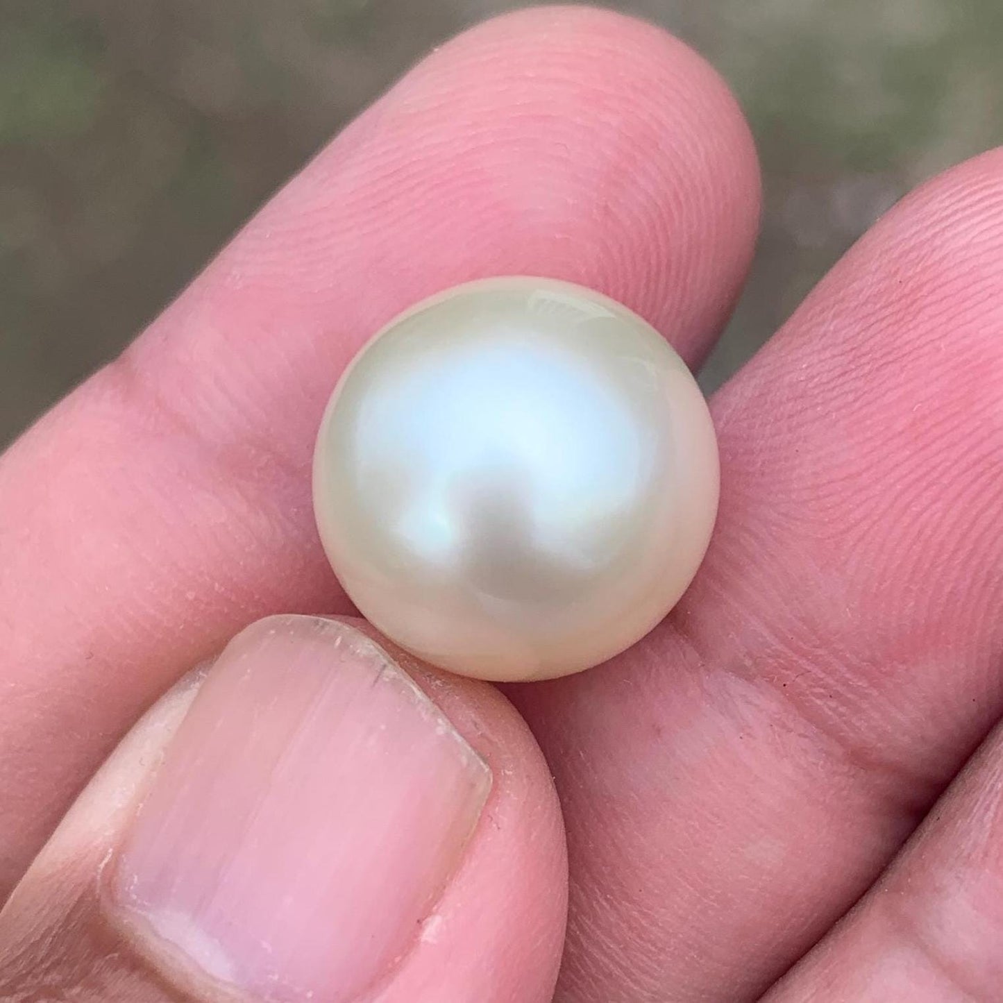 14.5mm Loose White South Sea Pearl Beads Sea Pearl Beads High Grade Loose Saltwater Pearl Bead