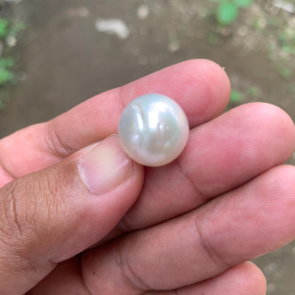 White South Sea Pearl: Loose Indonesia Pearl (15.7x15.4mm) BoZorX FR-1