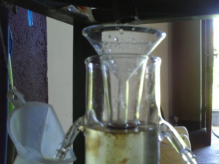 Kalimantan Agarwood Oud Oil: East Malino, Indonesia (1/4 Tola)