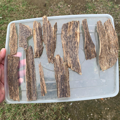 50 Grams Indonesia Agarwood Chips
