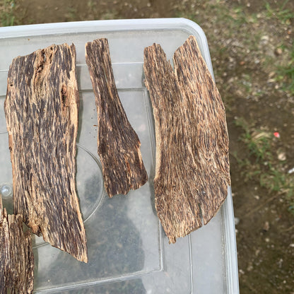 50 Grams Indonesia Agarwood Chips