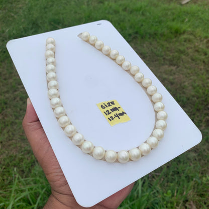 Indonesian White South Sea Pearl Necklace Saltwater Pearl Necklace Seawater Pearl Necklace 12-12.4mm GR-10