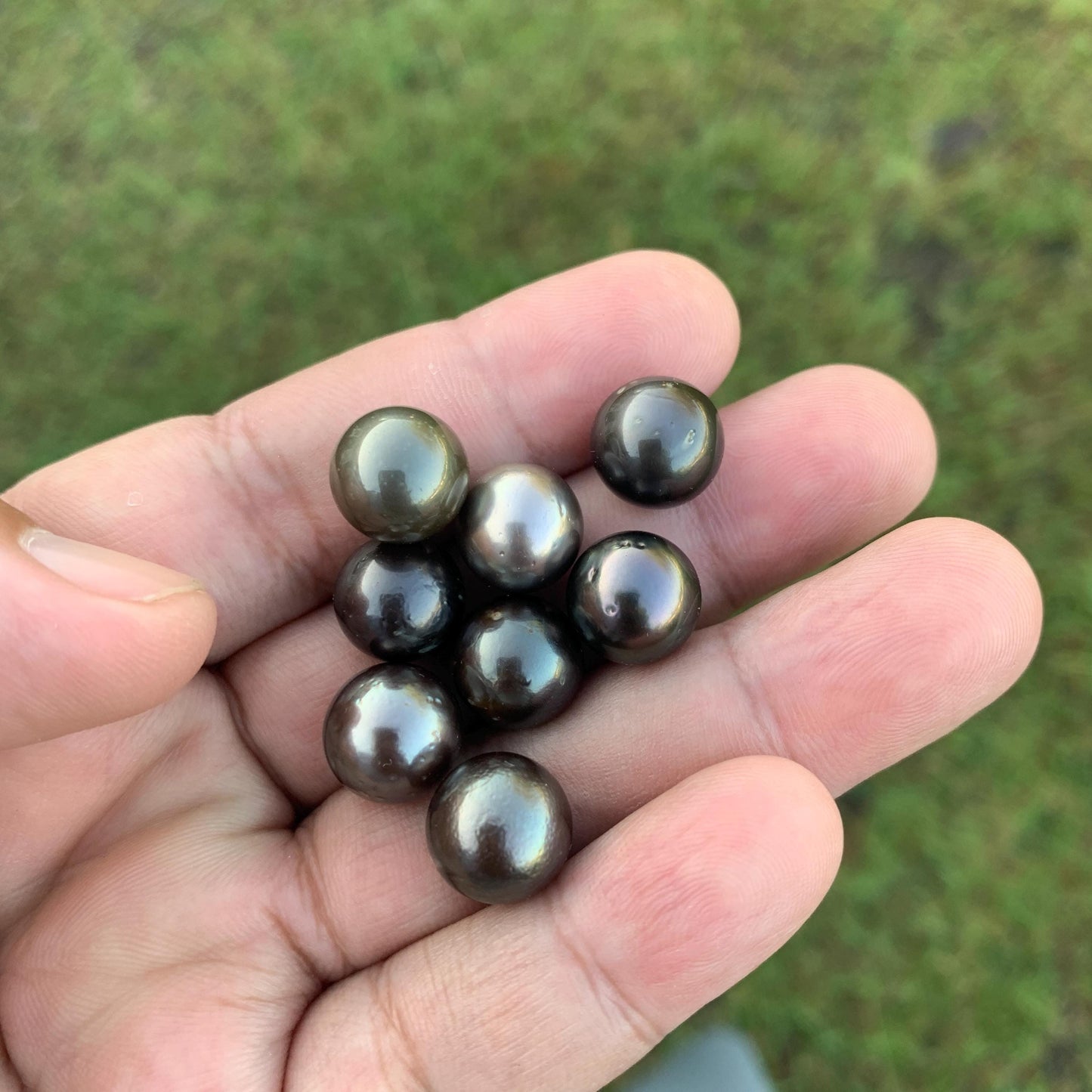 8 Pcs 11mm Loose Seawater Black Pearl Tahitian Edition Pearl Beads BoZorX BT-3