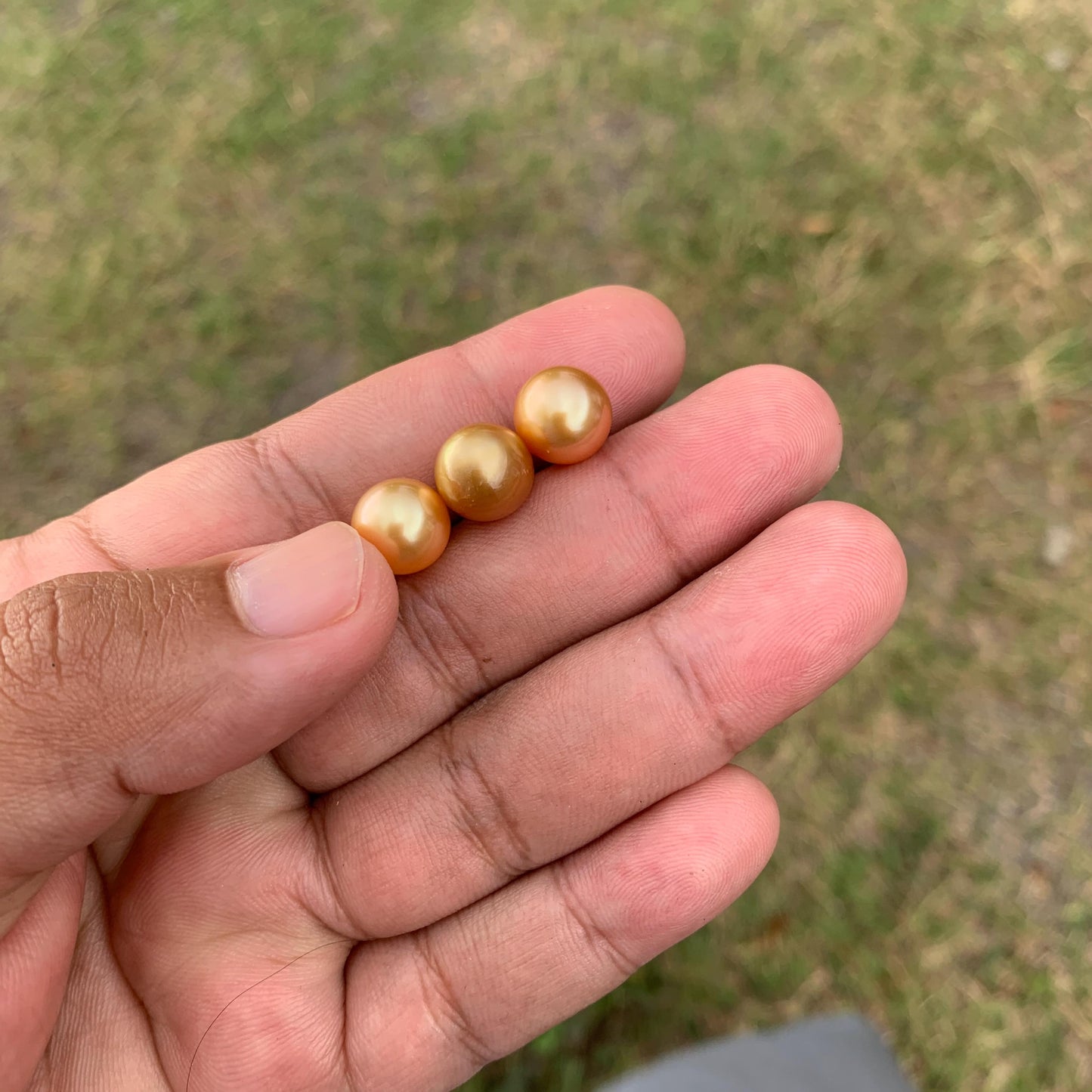 3 Pcs 10mm Golden South Sea Pearls High Grade Loose Gem  PP3-7