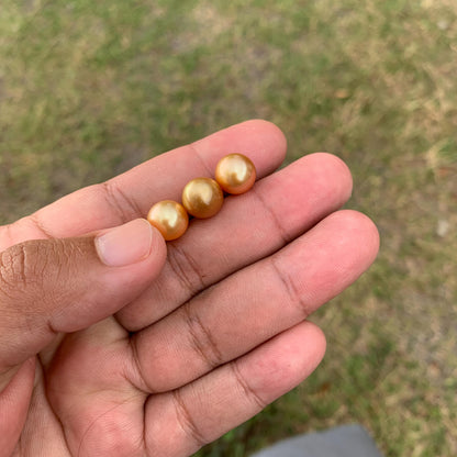 3 Pcs 10mm Golden South Sea Pearls High Grade Loose Gem  PP3-7